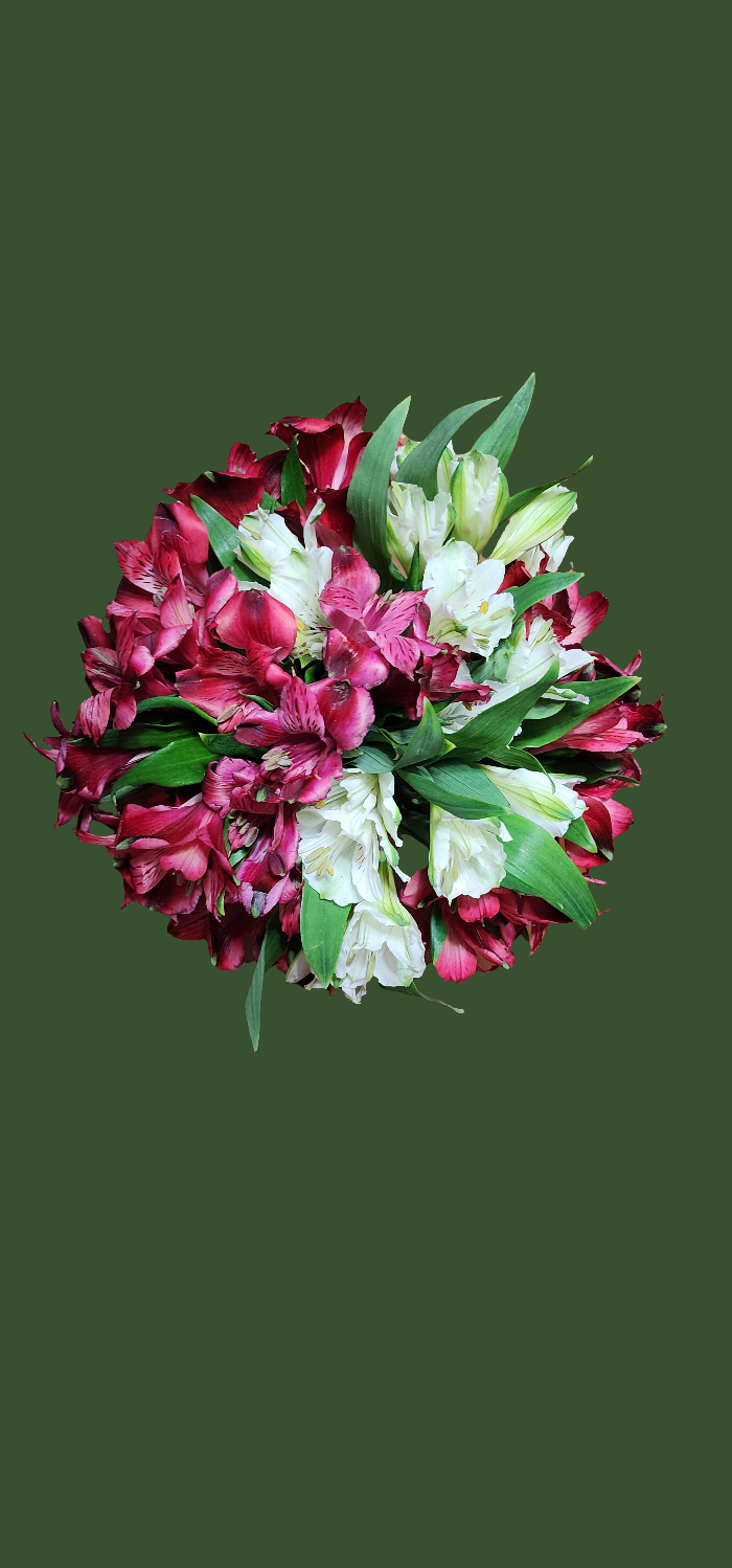 💐Flores a tu medida, atención personalizada por WhatsApp🌻