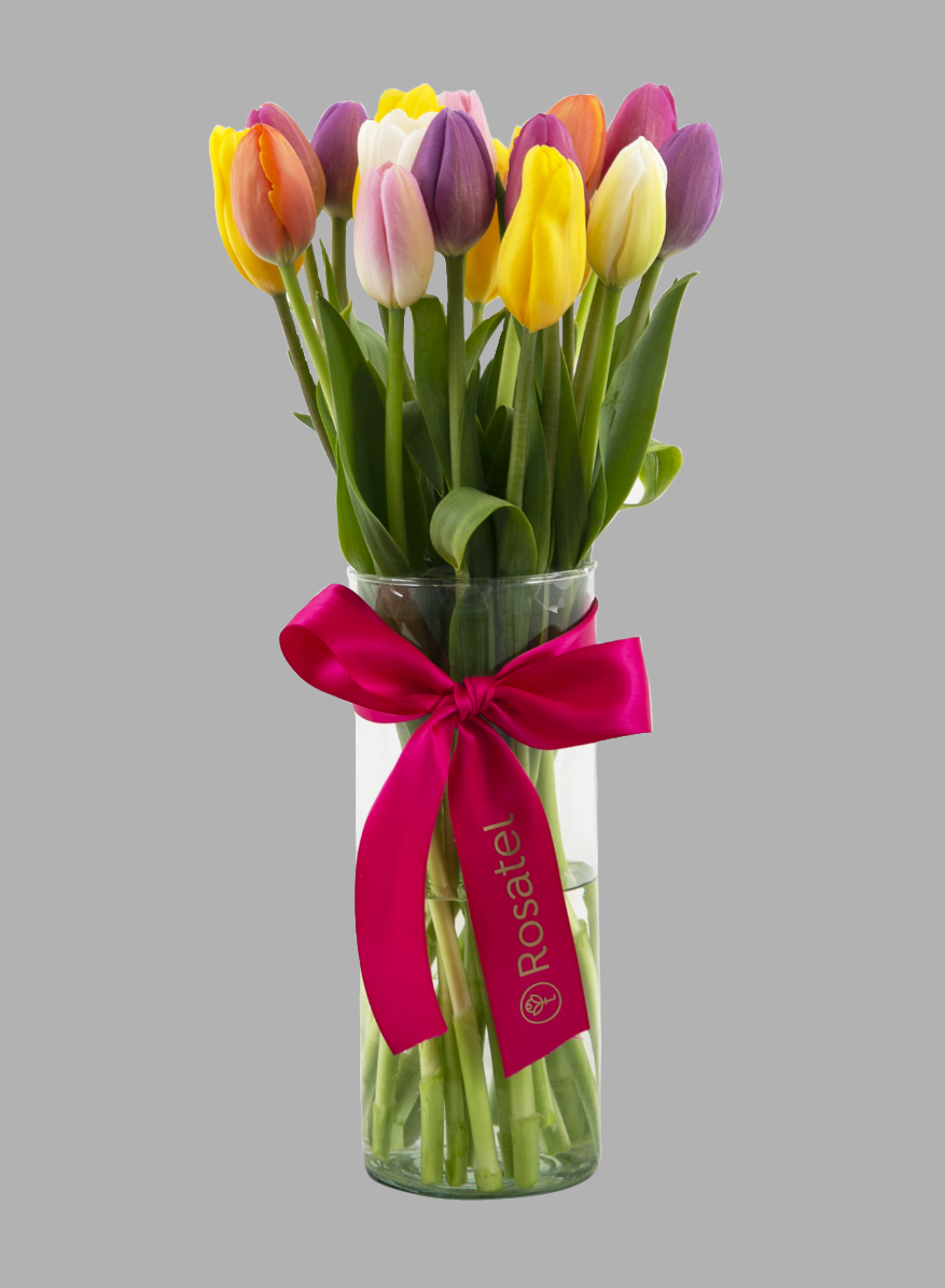 Tulipanes (Naranjos, Blancos, Rosas, Amarillos) Desde 10 unidades en adelante💐