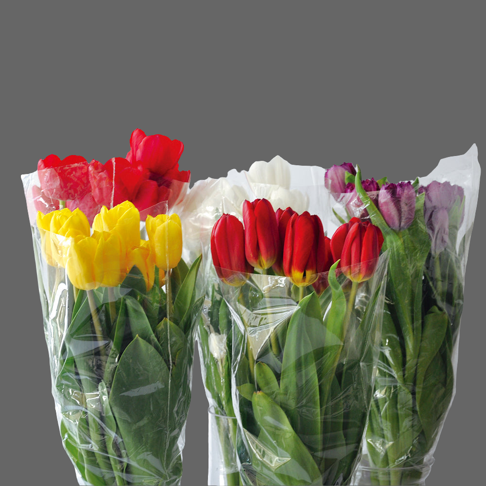 Tulipanes (Naranjos, Blancos, Rosas, Amarillos) Desde 10 unidades en adelante💐