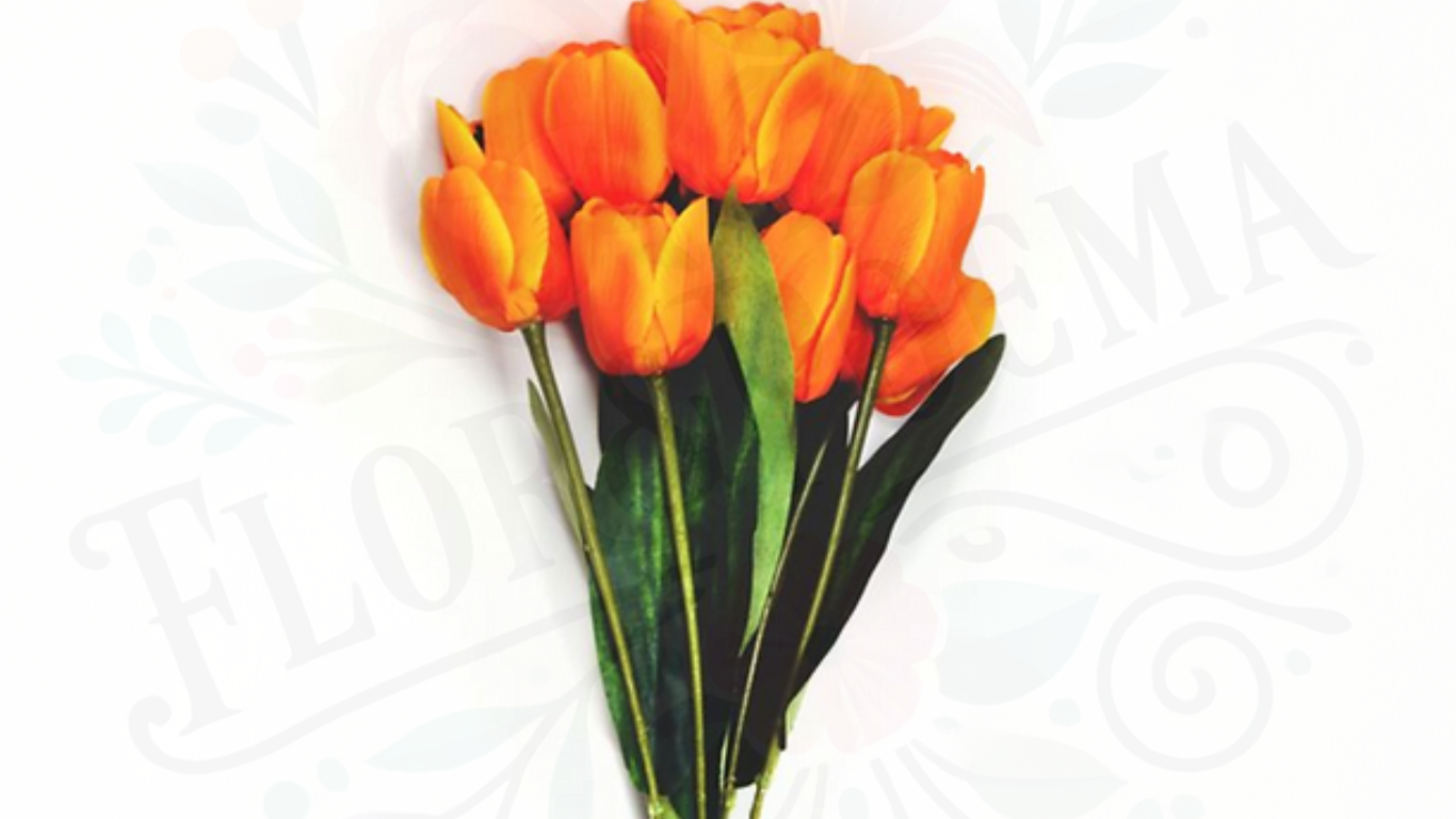Tulipanes (Naranjos, Blancos, Rosas, Amarillos) Desde 10 unidades en adelante💐