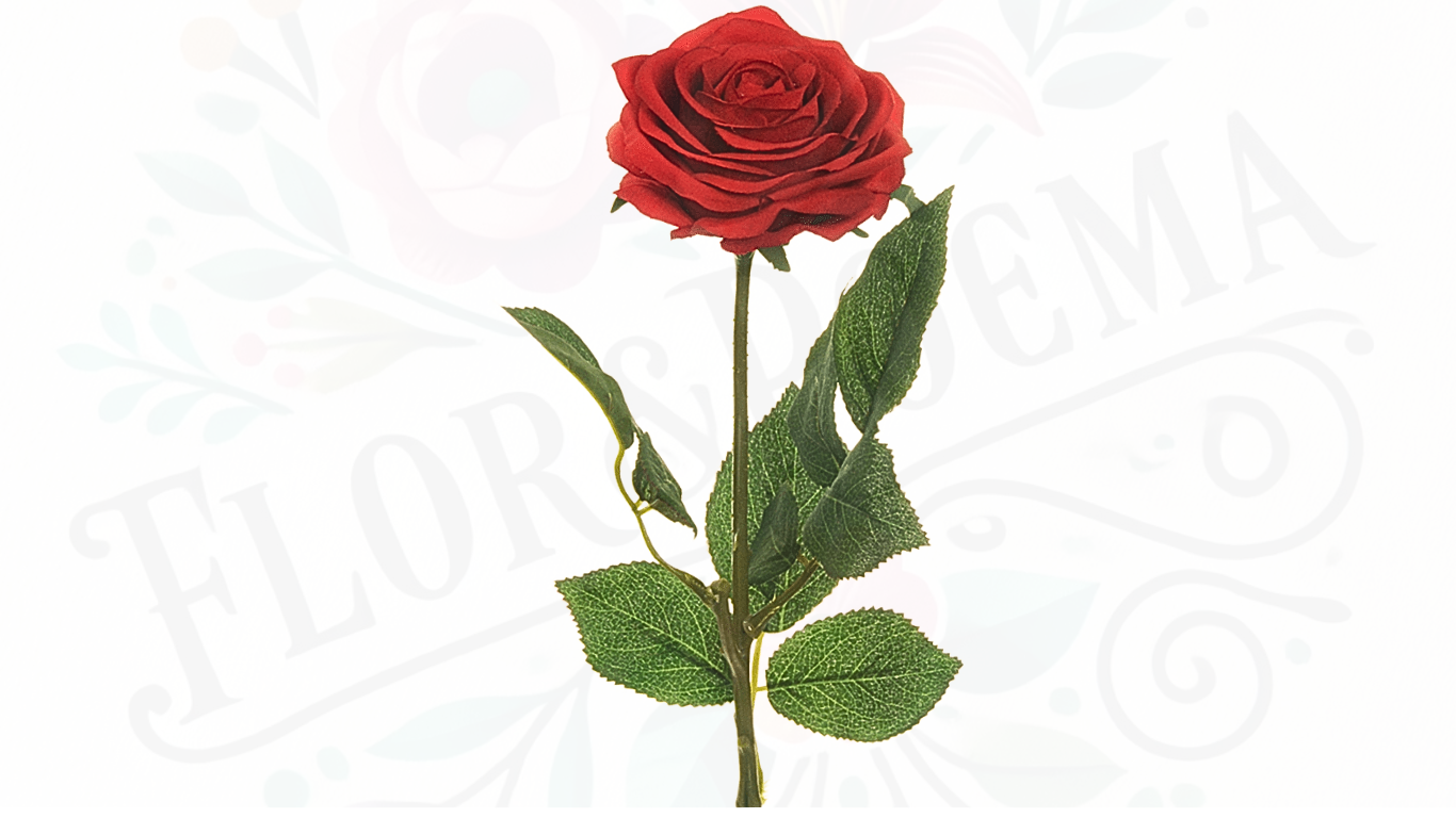Rosa (Roja, Blanca, Amarilla,Azul,Full color) (precio referencial desde 3 unidades de rosas con papel coreano)
