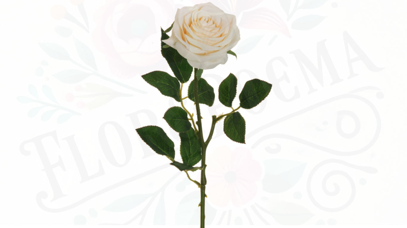 Rosa (Roja, Blanca, Amarilla,Azul,Full color) (precio referencial desde 3 unidades de rosas con papel coreano)