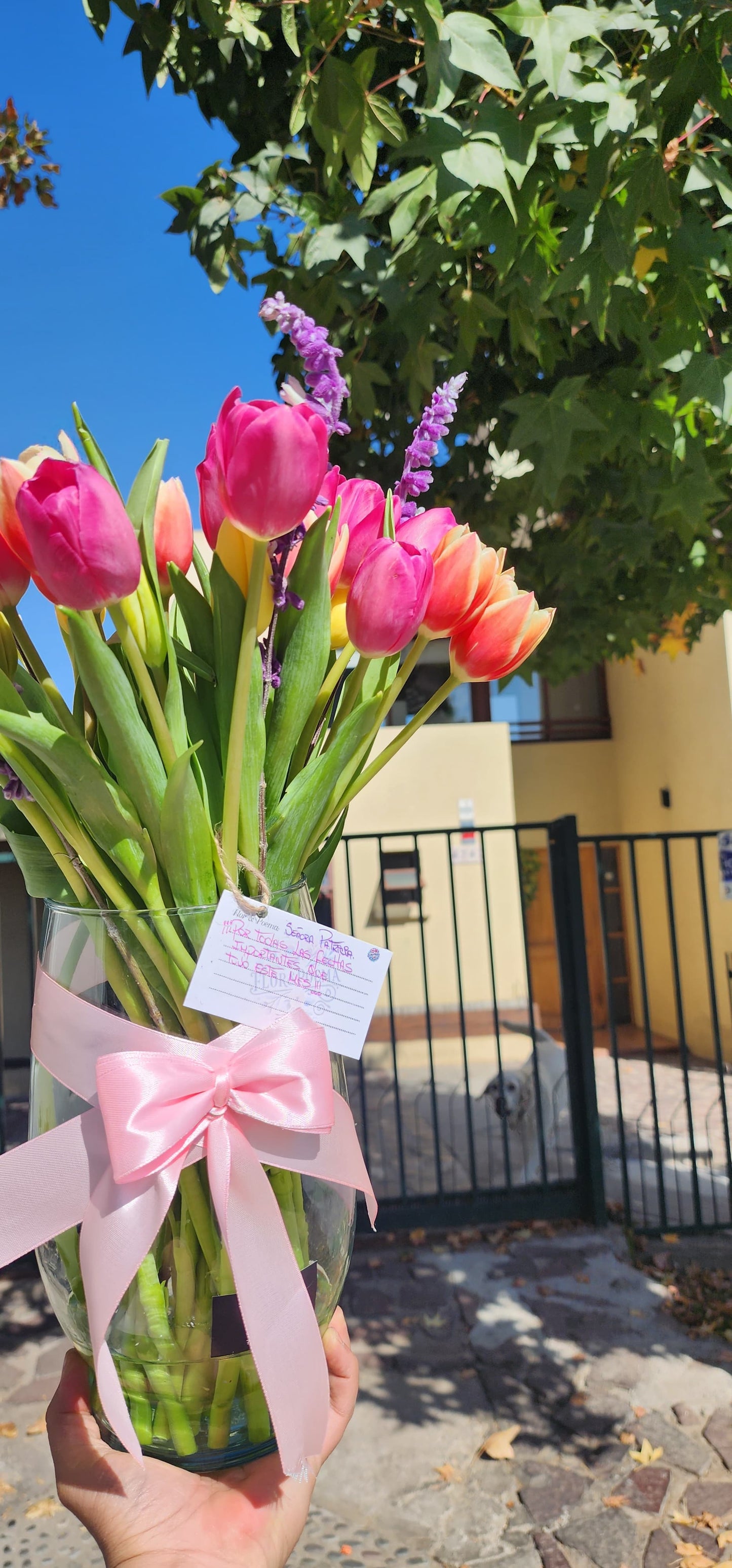💐Flores a tu medida, atención personalizada por WhatsApp🌻