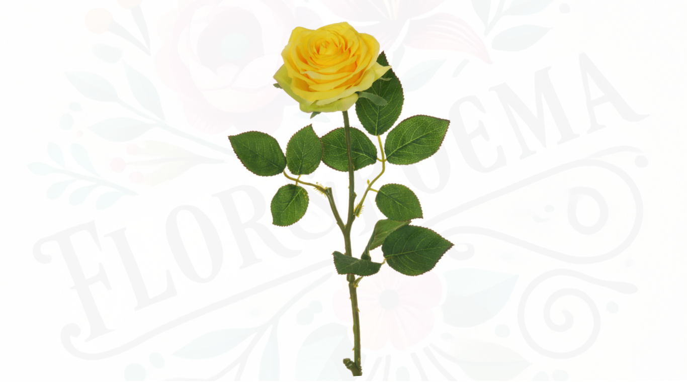 Rosa (Roja, Blanca, Amarilla,Azul,Full color) (precio referencial desde 3 unidades de rosas con papel coreano)
